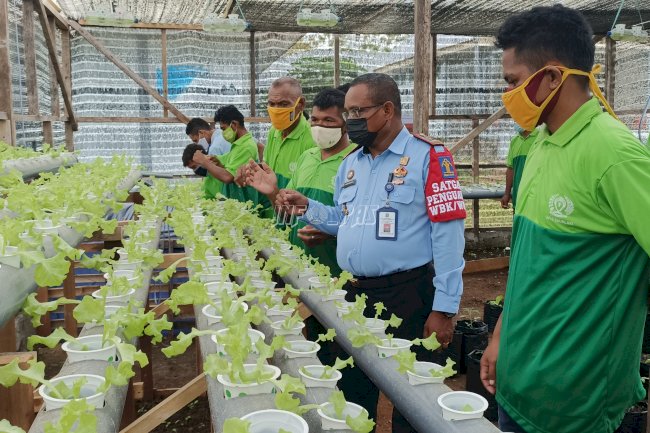 Kalapas Pantau Perkembangan Green House Lapas Saumlaki