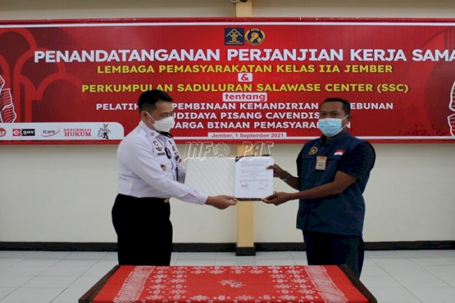 Lapas Jember Gandeng SSC Berikan Keterampilan & Pengolahan Pisang Cavendish