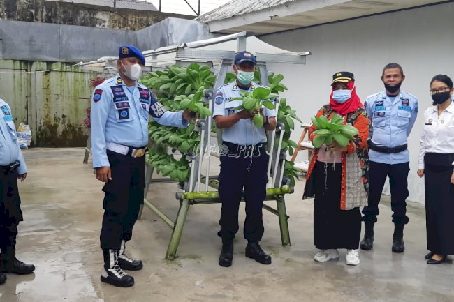 Rutan & Lapas di Maluku Panen Sayur & Kacang Tanah