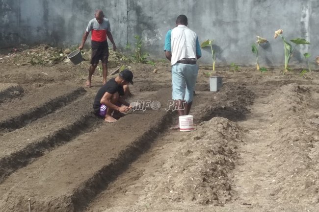 Lapas Dobo Manfaatkan Lahan Kosong Untuk Bercocok Tanam