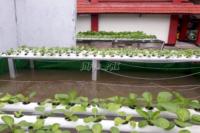 Lapas Sampit Optimalkan Lahan Sempit Jadi Produktif