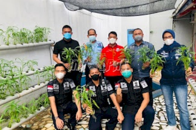 Rutan Kota Agung Panen Ikan Lele dan Kangkung