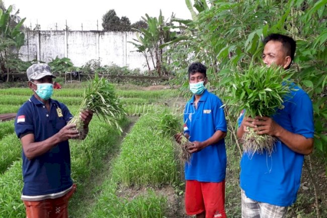 Panen Kangkung Lapas Ambon Ludes Dibeli Pengunjung WBP