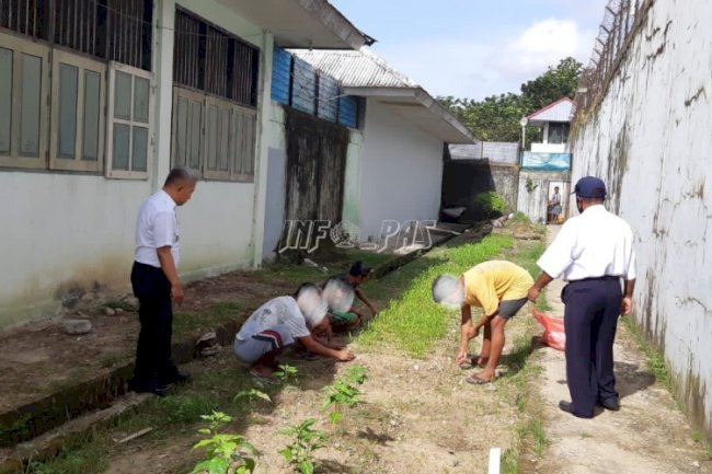WBP Rutan Ambon Manfaatkan Lahan Kosong Tanami Kangkung