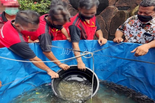 Lapas Sampit Terus Jaga Produksi Lele dengan Penambahan Kolam