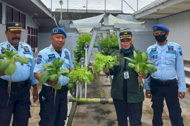 Berdayakan WBP, Rutan Ambon Panen Sayuran Hidroponik