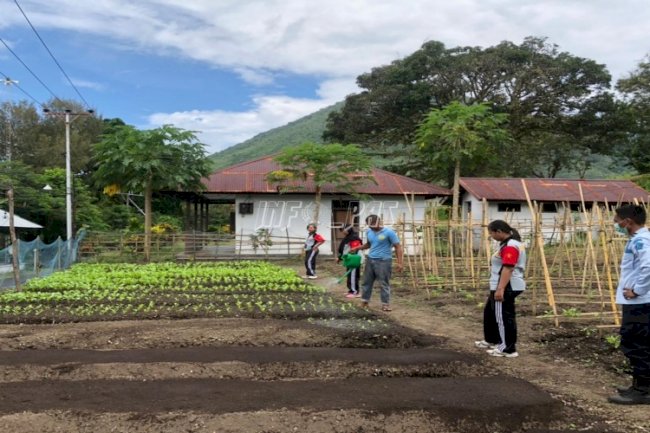 Kembangkan Produktivitas Perkebunan, Lapas Banda Naira Berdayakan WBP