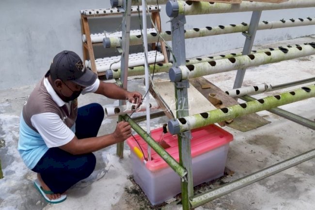 Budidaya Hidroponik, Salah Satu Bentuk Pembinaan WBP & Anak