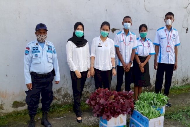 Rutan Ambon Panen Sayur Kangkung & Bayam Merah