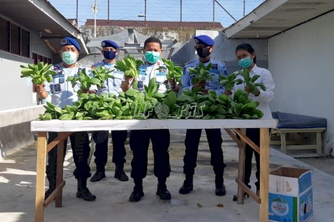 Lapas & Rutan Kembali Panen Hasil Pertanian