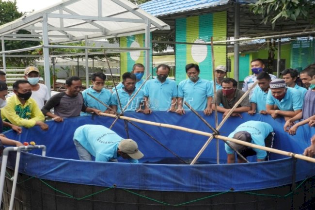 LPN Karang Intan Sukses Budidayakan Ikan Koi di SAE Lapas