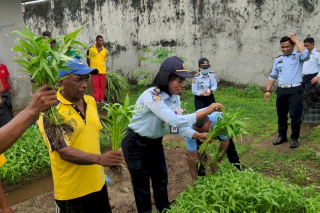 Awal Tahun 2022, WBP & Anak Panen Sayuran & Ayam Pedaging