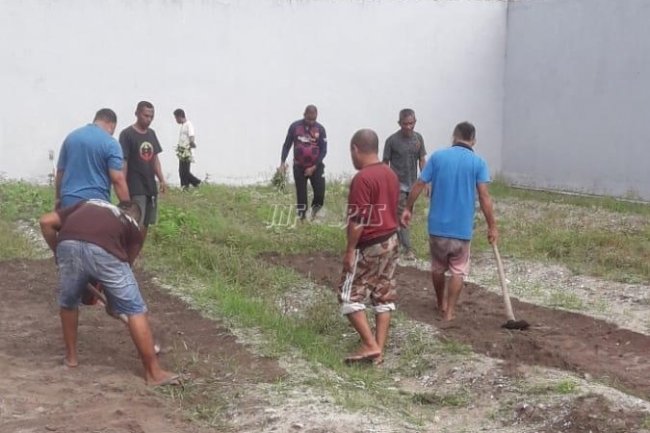 WBP Lapas Namlea Pastikan Kualitas Lahan Pertanian Tetap Terjaga