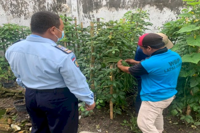Lapas Sampit Manfaatkan Lahan Branggang Agar Produktif