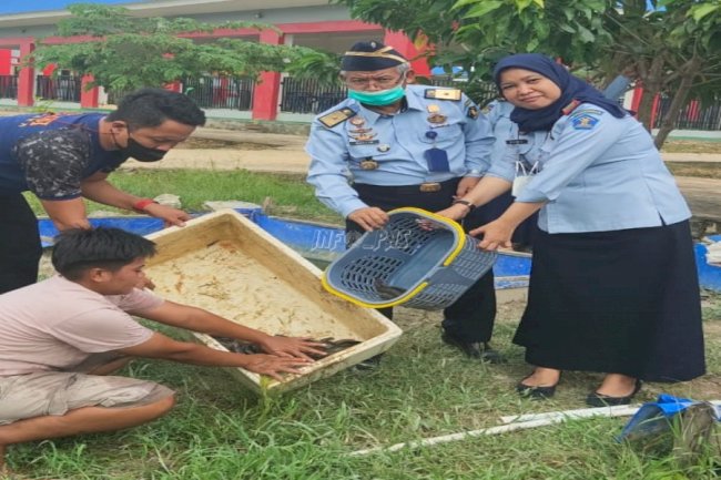 LPP Kendari Panen Lele Hasil Pembinaan Sektor Perikanan