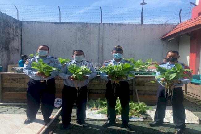 WBP Lapas Panen Berbagai Sayuran