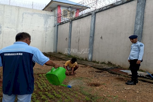 Genjot Sektor Pertanian, Lapas Saumlaki Manfaatkan Branggang Untuk Bercocok Tanam