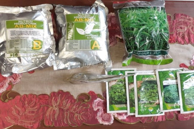 LPKA Ambon Terima 3 Jenis Benih Sayur Hidroponik dari SKB Kota Ambon