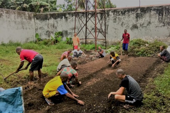 Tingkatkan Pembinaan Kemandirian WBP, Lapas Tual Manfaatkan Lahan yang Ada