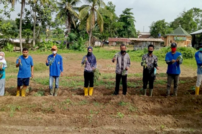 Perdana di Lebak, WBP Lapas Rangkasbitung Dibekali Pelatihan Budidaya Ubi Jepang