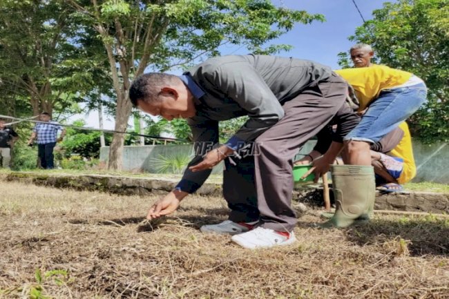 Tanam Kacang Hijau, Lapas Kupang Terus Kembangkan Perkebunan