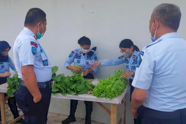 Rutan Ambon Bakal Pasarkan Sayur Hasil Panen pada Layanan Titipan Barang