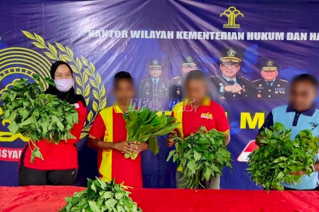 WBP Rutan Masohi Panen Sawi dan Kangkung