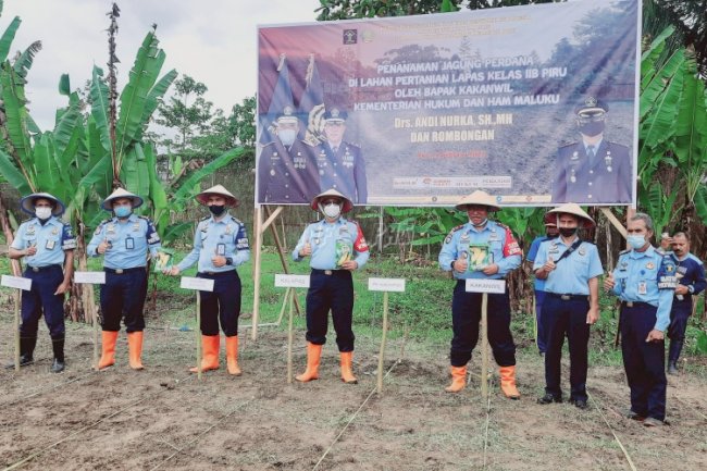 Tanam Jagung Perdana di Lapas Piru, Plt. Kadivpas Maluku Beri Apresiasi
