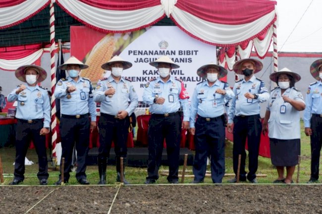 Ladang Rutan & Lapas Ditanami Bibit Jagung Manis