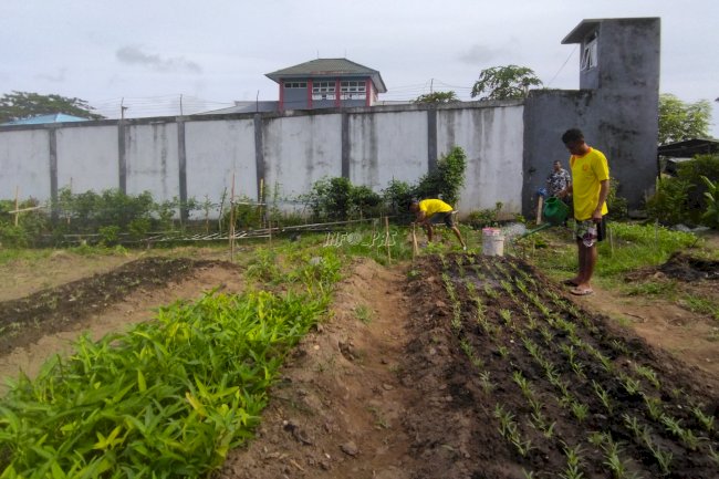WBP Lapas Wonreli Tetap Produktif di Masa Pandemi