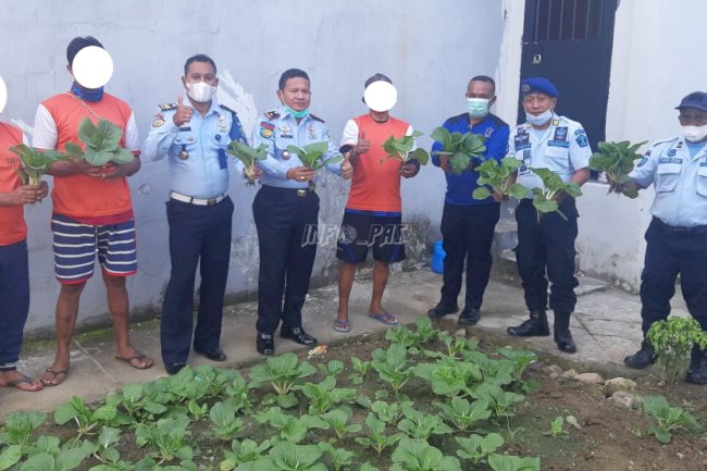Rutan Ambon Panen Sayur Hasil Budidaya WBP