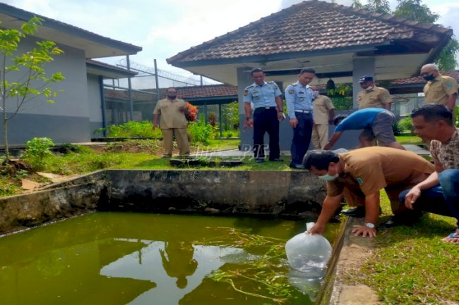 Sukses Panen, Lapas Tanjungpandan Kembali Tebar 1.500 Benih Lele