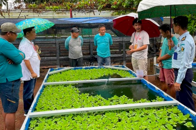 Pembinaan WBP, Lapas Narkotika Karang Intan Bakal Datangkan Indukan Koi dari Jepang