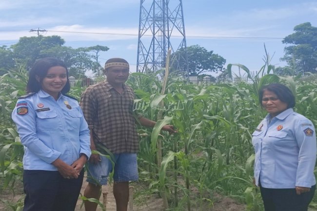 PK Bapas Ambon Awasi Pembinaan WBP Lapas Namlea