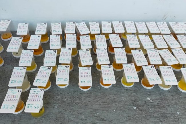 Dites Urine, Puluhan Narapidana Lapas Ambon Negatif Narkoba