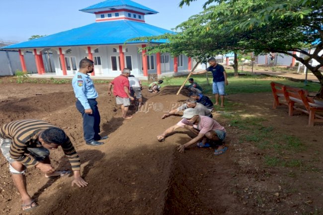 WBP Lapas Saumlaki Garap Lahan Tidur Untuk Kegiatan Pertanian