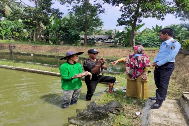 WBP Lapas Rangkasbitung Studi Tiru Budidaya Ikan Teknologi Bioflok