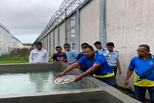 Lapas Saumlaki Tebar 203 Bibit Ikan Nila di Kolam SAE 