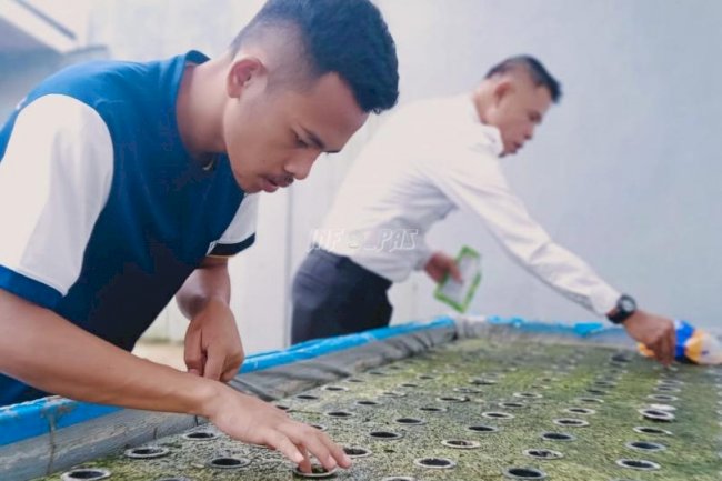 WBP Rutan Ambon Dilatih Cara Pengolahan Sayur Hidroponik