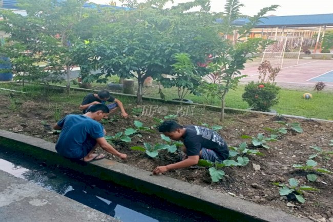 Rutan & Lapas Manfaatkan Lahan Kosong Tanami Sayuran Hingga Panen