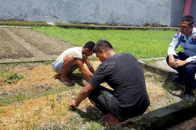 Persiapan Media Tanam Baru, Rutan Masohi Siapkan Area Kebun 