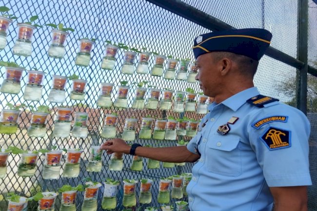 Kreatif, Lapas Tanjungpandan Olah Sampah Plastik Jadi Media Tanam Hidroponik