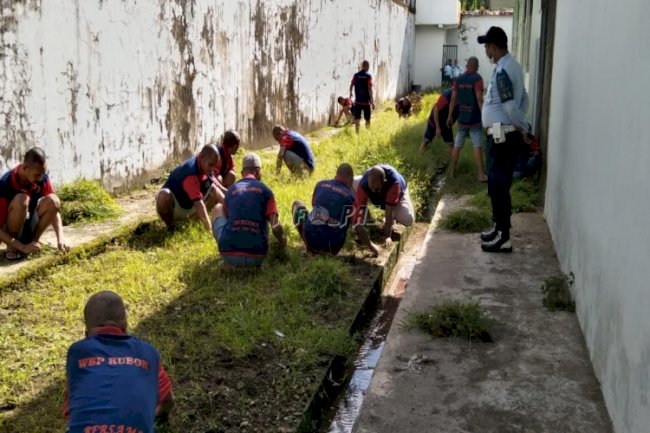 Rutan Ambon Manfaatkan Lahan Kosong Untuk Bercocok Tanam