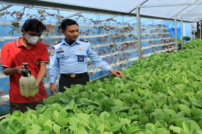 Taman Hidroponik Lapas Binjai Jadi Tempat Belajar WBP