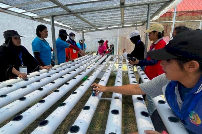 WBP LPP Ambon Ikuti Kegiatan Pelatihan Kemandirian Bidang Agribisnis Hidroponik
