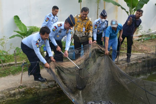 Rutan Batam Panen Ratusan Kilo Ikan Lele Bersama Direktur Binapilatkerpro