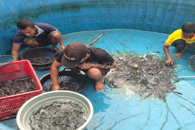 Ini Bukti Terampilnya Warga Binaan Lapas Narkotika Karang Intan