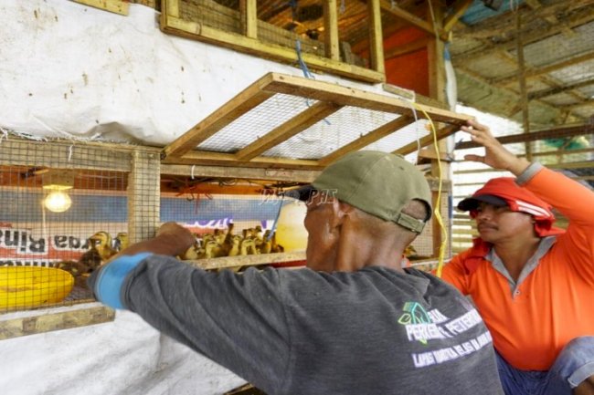 Mesin Penetas Otomatis Bantu Program Peternakan Lapas Narkotika Karang Intan 