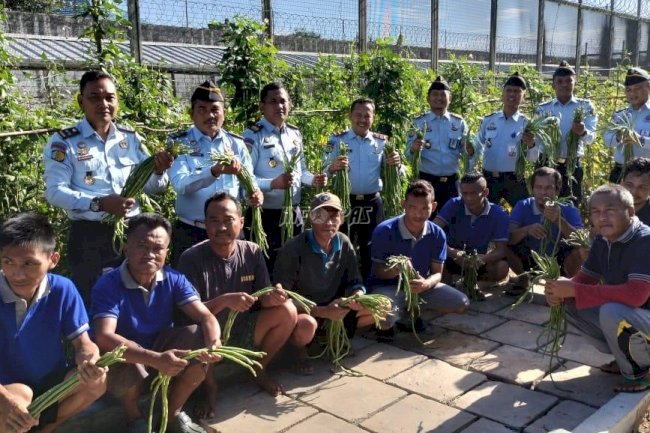Program Pembinaan Berhasil, Warga Binaan Lapas Narkotika Karang Intan Panen Kacang Panjang