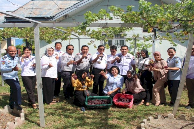 Kakanwil Kemenkumham Sulteng Panen Anggur di Rupbasan Palu
